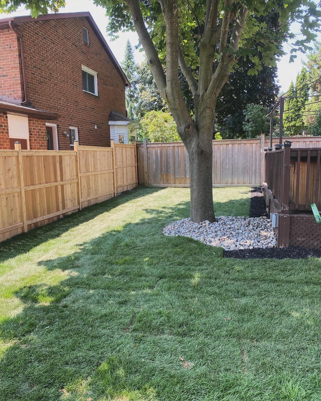 Sod installation — after