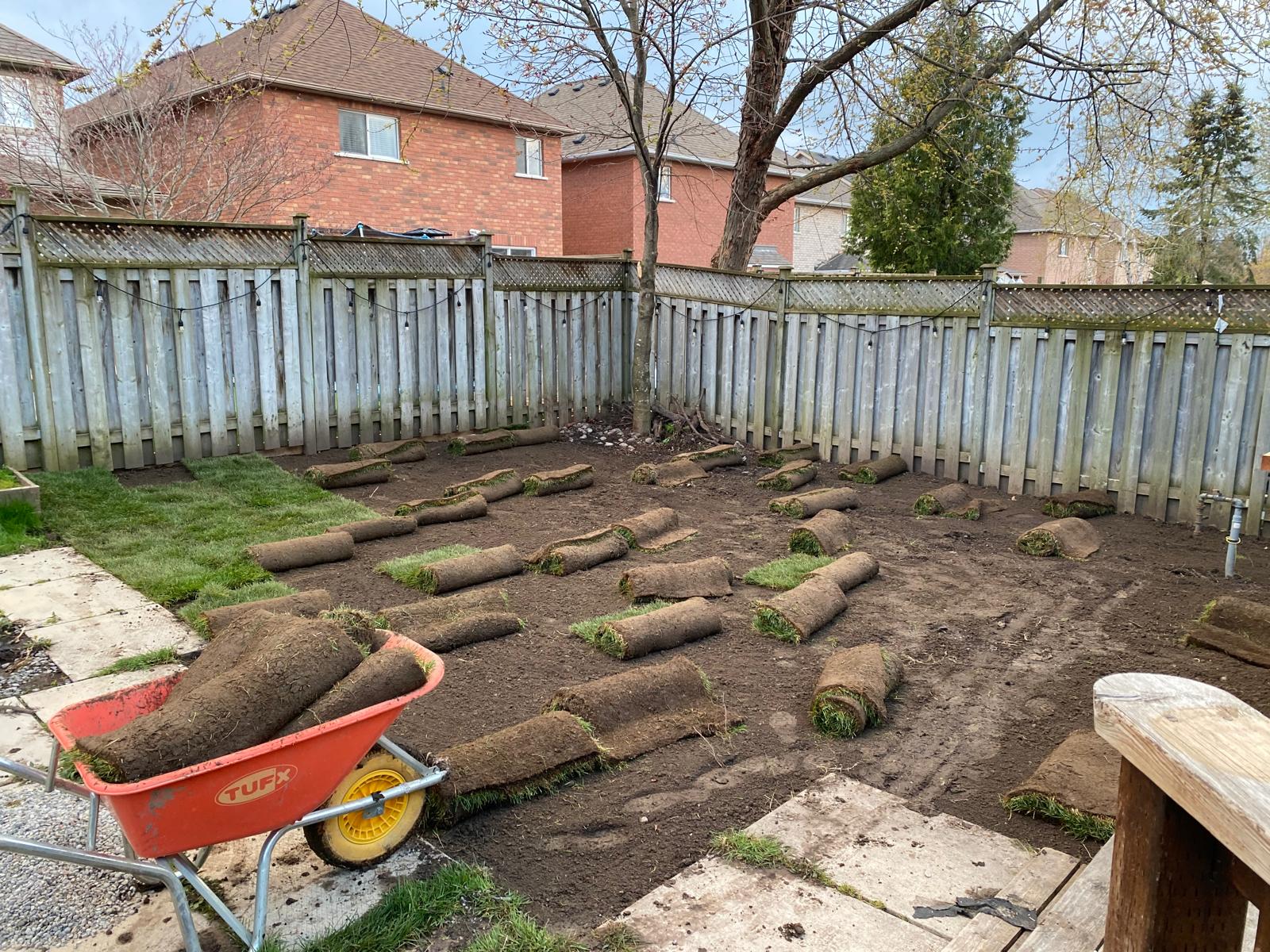 Sod being laid