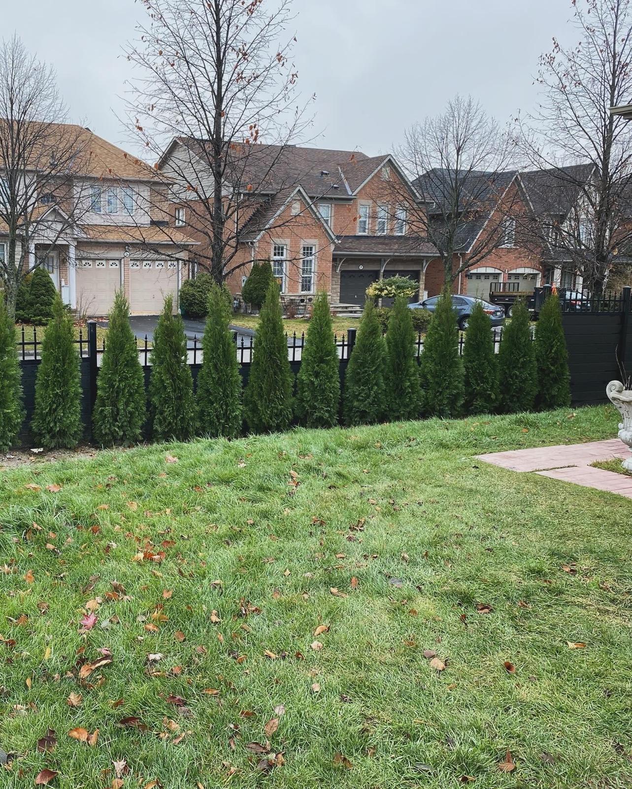 Tree and shrub planting