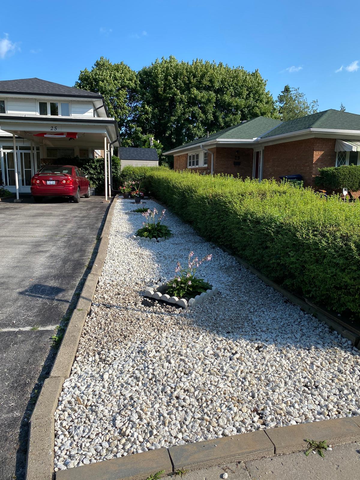 Boulevard cleanup — after