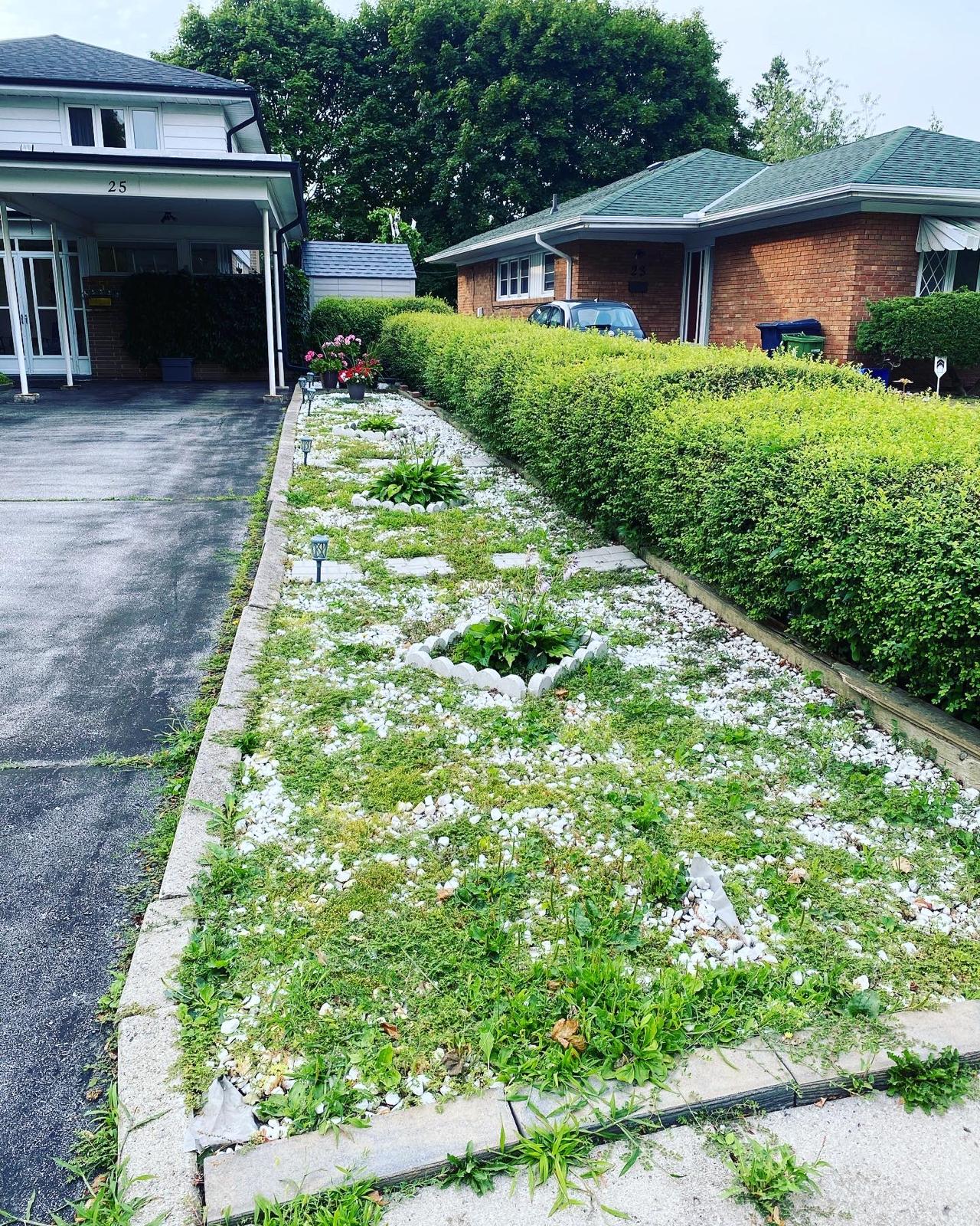 Boulevard cleanup — before