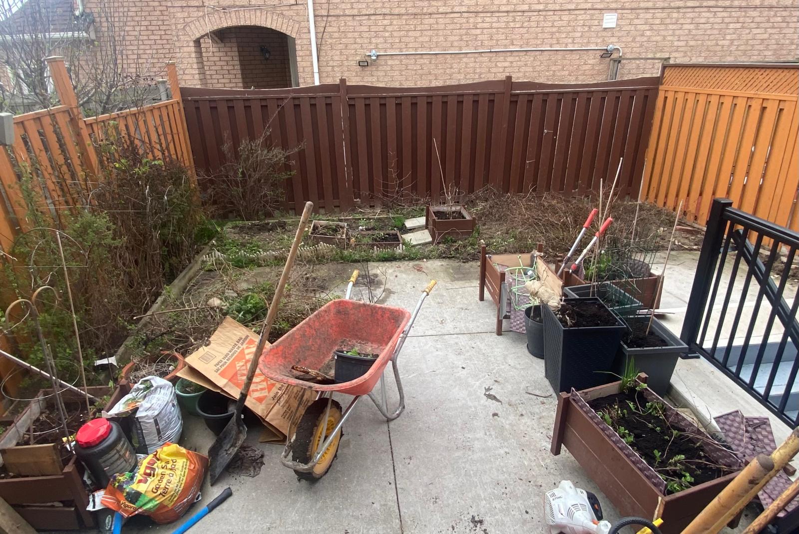 Backyard cleanup and design — before